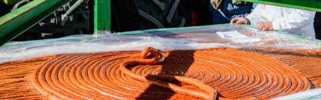 PAO SVETSKI REKORD U TURIJI! Napravljena kobasica od neverovatna DVA KILOMETRA: Nestala za manje od sat vremena! (FOTO)