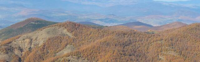 Kompanija Zlatna Reka Resources demantuje informacije o obustavi geoloških istraživanja na Rogozni