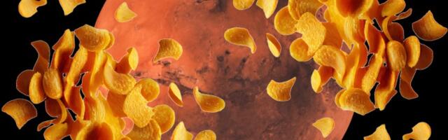 Prvi ljudi na Marsu mogli bi da žive u "kućama od krompira" napravljenim od "svemirskog povrća"