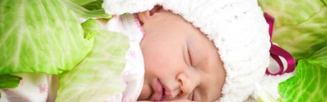 Za ovaj posao 10.000 DOLARA: Nekad su to ljudi sami radili, a sad su spremni debelo da plate