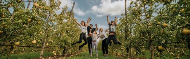 „Šta ne bi pojeo – ne stavljaj ni u rakiju”: Kako je nastala „Zdravica“ piće koje slavi porodičnu tradiciju?