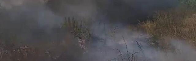 Ponovo gori Divlja deponija u naselju Slavka Zlatanovića u Leskovcu – video