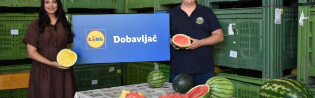 Lidl ove sezone otkupio 5.000 tona lubenica iz Srbije. Domaće su najslađe