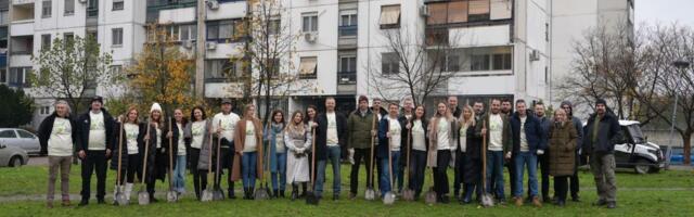 Carlsberg Srbija tim u akciji "Posadi svoj hlad": Donacijom kompanije Novi Beograd dobio nove sadnice