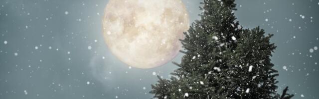 Najtačniji nedeljni horoskop od 15. do 21. decembra: Mlad Mesec u Strelcu donosi novi početak za 3 znaka