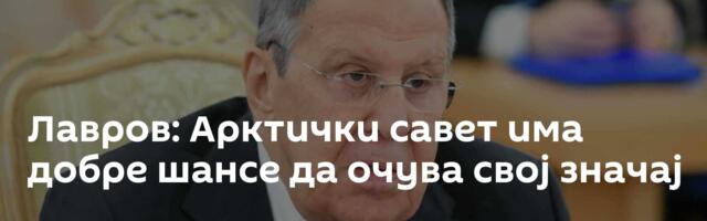 Лавров: Арктички савет има добре шансе да очува свој значај