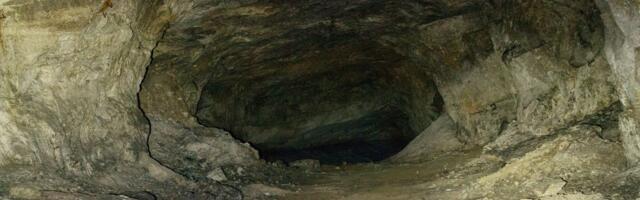 Pećina krila fosile ptica i žaba starije od milion godina: Pronađeno 12 vrsta ptica i 4 vrste žaba