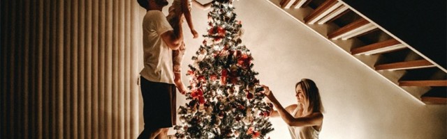 "Policijski čas za Novu godinu možda jedino rešenje"