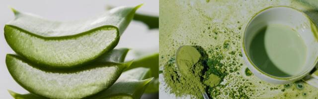 Zaboravite spirulinu i matchu: Aloe vera prah je novi wellness favorit
