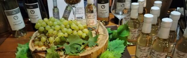 Proglašeni najbolji proizvođači vina na „Vinskom balu“ u Vlasotincu