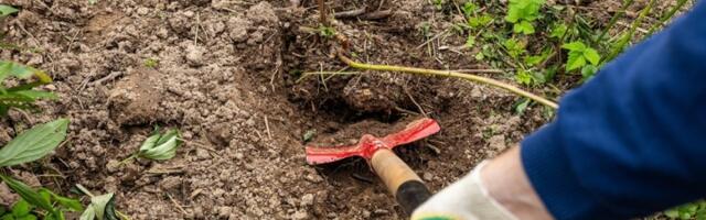 Kopao je svoju baštu, pa pronašao nešto JEZIVO: Odmah je pozvao policiju - ali i dalje je MISTERIJA šta je to