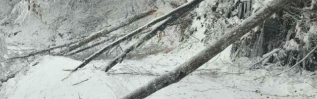 Више од 600 монтера ЕДС на терену