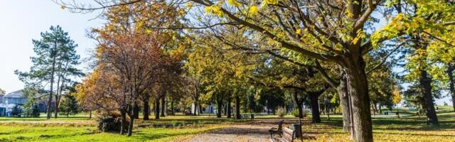 "Hitno zabraniti prenamenu zelenih površina"