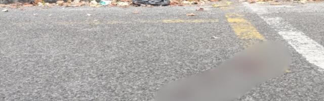 „ČULA SE SVAĐA, PA JAUK" Svedok opisao detalje tragedije na Vračaru, krvave stvari i tragovi svuda po ulici (FOTO GALERIJA)