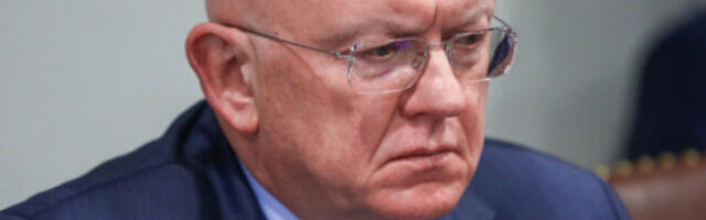 „Мачка у џаку” у Гази