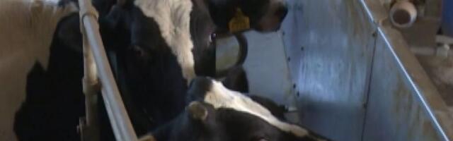 Ministar pozvao poljoprivrednike u protestu da dođu danas na sastanak u Vladu