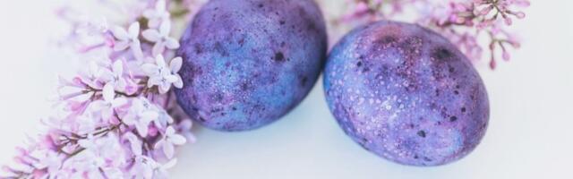 Prelepa vaskršnja jaja uz čaj od hibiskusa: Nestvarne nijanse na potpuno prirodan način