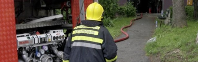 GORI STAN NA BEŽANISJKOJ KOSI! Pet vatrogasnih kola na terenu!