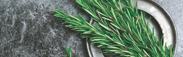 IMATE HLADNE RUKE I NOGE? Evo koje BILJKE vam mogu POMOĆI