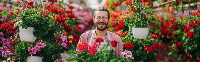 Ove biljke su čudo! Posadite ih jednom u vrtu i plodove ćete ubirati godinama (FOTO)