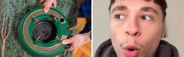 Kupio jelku u poznatoj radnji: Kad je otvorio kutiju, umesto oduševljenja doživeo je POTPUNI ŠOK