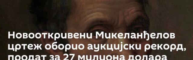 Новооткривени Микеланђелов цртеж оборио аукцијски рекорд, продат за 27 милиона долара