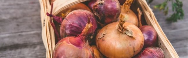 CEO ŽIVOT POGREŠNO STE SEKLI LUK! Za to vam uopšte nije potreban nož već... /VIDEO/