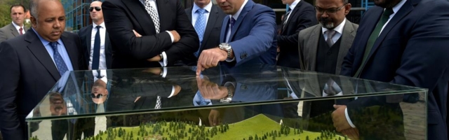 Приватизована независност