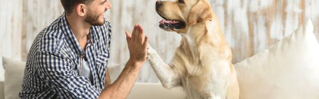 Konačno otkriven razlog zašto su psi čovekovi najbolji prijatelji