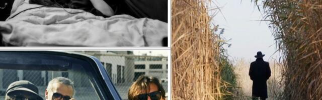 Oni nekad, mi sad i neki tamo – i jedinstveni Beldocs: Šta nas očekuje na ovogodišnjem festivalu?