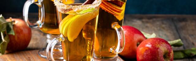 Topla jabukovača - savršeno piće za zimske večeri