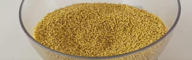 Ovo je jedna od najzdravijih žitarica na svetu, a Srbi je ne jedu: Probava radi precizno, kao švajcarski sat!