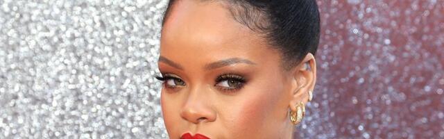 Pucnjava kod Rijanine kuće: Rafal prema vili, pevačica sve vreme bila unutra?