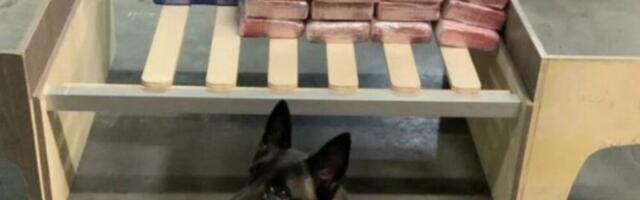 VELIKI UDARAC ZA BALKANSKI KARTEL! U Crnoj Gori i Nemačkoj uhapšeno 12 osoba, terete se za šverc 2,7 tona kokaina i 1,5 tona kanabisa!