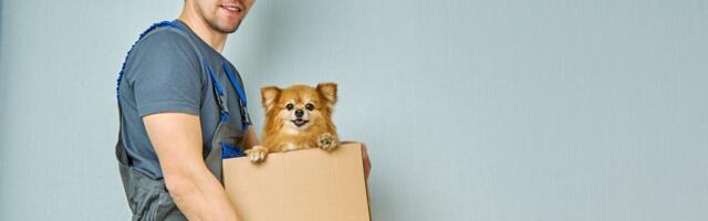 Dostavljač panično preskočio ogradu zbog labradora: Snimak sa kućne kamere nasmejao milione ljudi