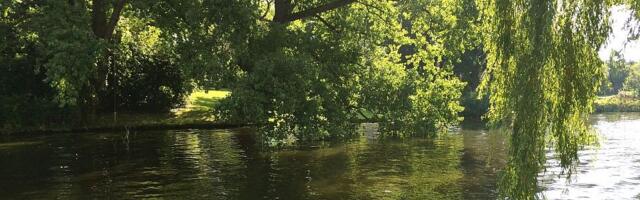 U nedelju oko 23 stepena