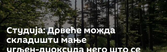 Студија: Дрвеће можда складишти мање угљен-диоксида него што се раније мислило