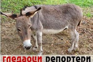 Гледаоци репортери (20. јануар 2023)