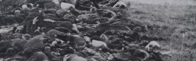 Oktobar 1941. – Dan koji je zauvek zavio Kraljevo u crno i kazivanja preživelih
