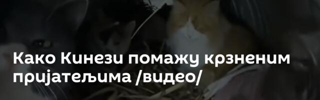 Како Кинези помажу крзненим пријатељима /видео/