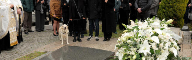 PAS DUŠKA VUJOŠEVIĆA NA SAHRANI LEGENDARNOG TRERA! Žuta se nije pomerala od kovčega... (Foto)