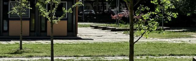 Procter&Gamble renovira školsko dvorište u Beogradu, volonteri zasadili nekoliko drveća i biljaka