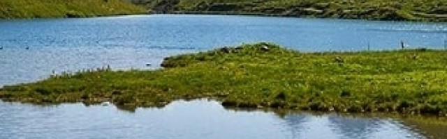 Raka čeka iznenađenje u ljubavi, Lava kolege sabotiraju, Škorpiju prati sreća (VIDEO)