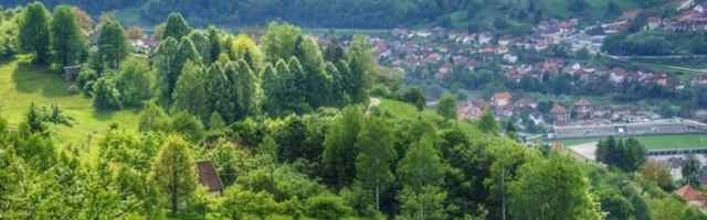 Čovek svu zemlju ostavio u nasledstvo slonovima