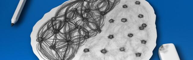 Najmlađa osoba kojoj je dijagnostikovana Alchajmerova bolest ima samo 19 godina