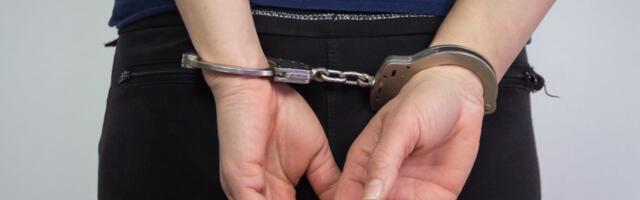 Pijana "dama" tukla konobarice jer je nisu pustile u kafić