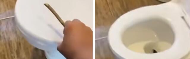 Kad je video šta su izvukli iz WC šolje, gost hotela doslovno zanemeo: Ovo je prava noćna mora!
