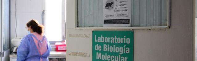 Epidemiološkinja Maris: Hantavirus nije novi kovid19