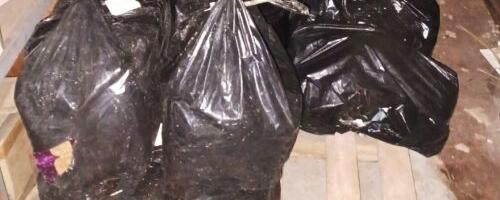Uhapšen muškarac u Knjaževcu: U magacinu ilegalno držao pola tone duvana (FOTO)