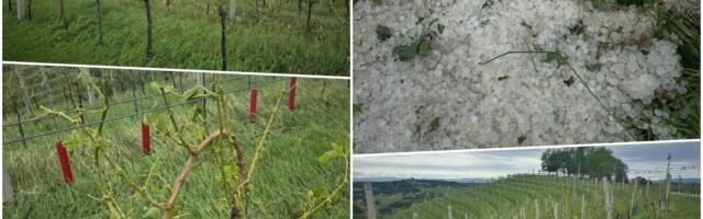 OLUJA SKINULA KROV S MRTVAČNICE! Vinogradari u očaju kad su videli šta ih je dočekalo! "Noćas nam je srce ostalo tamo", stravično nevreme u Hrvatskoj! (FOTO)